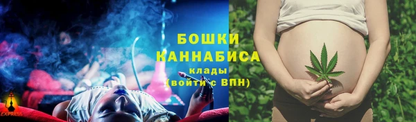 прущие грибы Аркадак