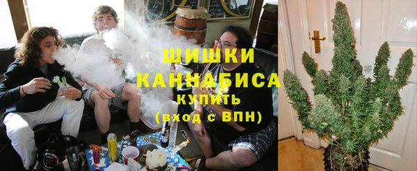 гидра Каменка