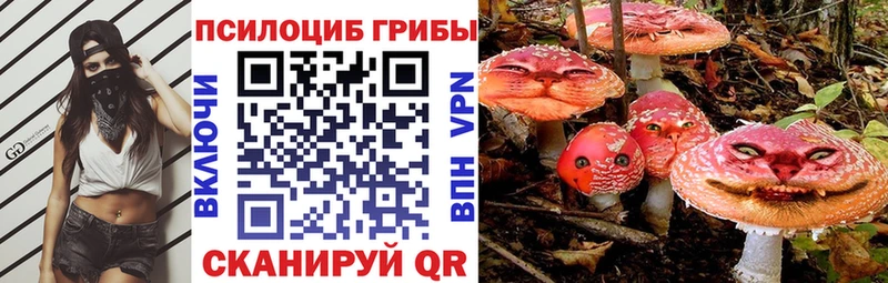 закладка  Карпинск  Галлюциногенные грибы мицелий 