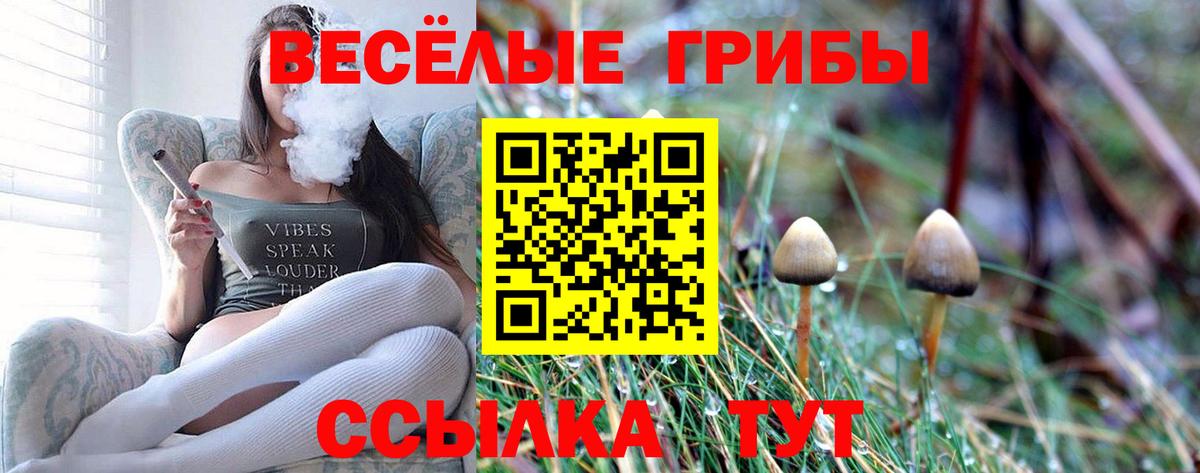 Галлюциногенные грибы прущие грибы Карпинск