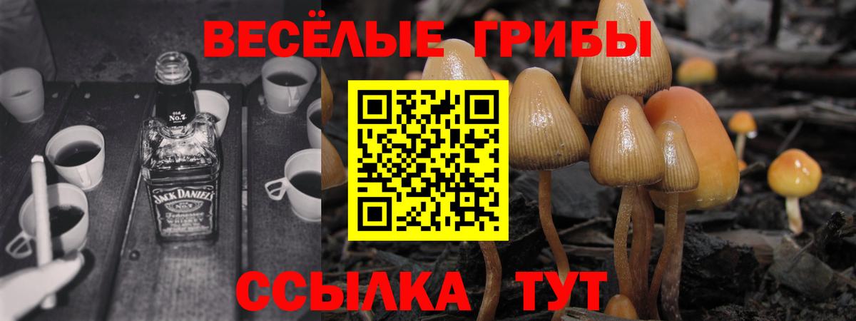 Карпинск  Галлюциногенные грибы Psilocybe  Псилоцибиновые грибы Psilocybe  где продают наркотики  Вход с VPN 